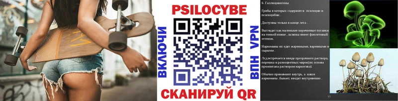 кракен зеркало  купить  сайты  Усмань  Псилоцибиновые грибы Psilocybine cubensis 